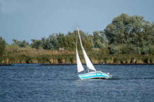 Pequeño velero navegando inclinado en un lago rodeado de vegetación.